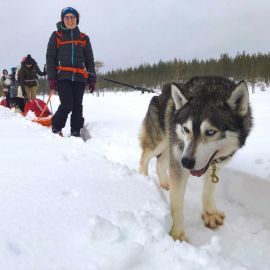 Colo ski et multi-activités 13-15 ans