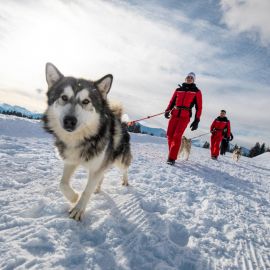 Colo ski et multi-activités 13-15 ans