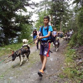 Aventure avec les chiens Husky