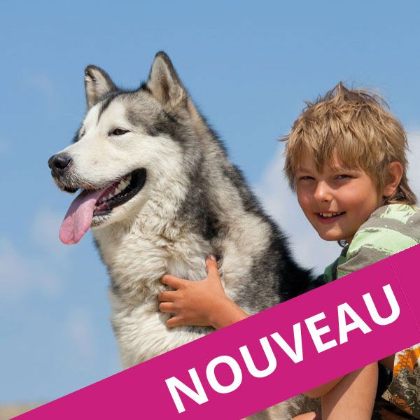 Aventure avec les chiens de traîneau